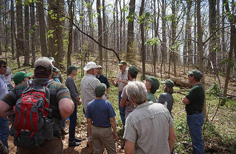 Montpelier’s ‘Landmark Forest’ rooted in history